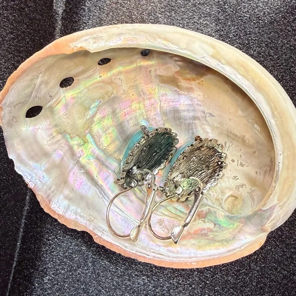 NWT Faux Turquoise Earrings. Just a touch of turquoise peeking out.